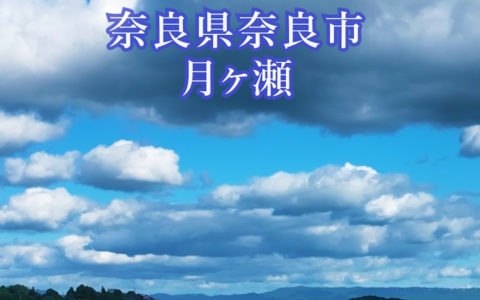 月ヶ瀬　リール動画